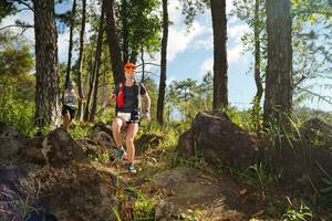 BIB: 
                            <button type="button" onclick="openModal(18915467)" class="btn btn-primary btn-sm float-right btn-popup" data-toggle="modal" data-target=".modal-high-quality">
                        <i class="fas fa-shopping-cart"></i> Add to Cart
                    </button>
                                            <button type="button" onclick="isThisMe(18915467, true)" class="btn btn-success btn-sm float-right btn-popup btn-isme hidden" data-toggle="tooltip" data-placement="bottom" title="นี่คือรูปของคุณใช่ไหม คลิกที่นี่เพื่อเอาเข้าอัลบั้ม">
                        <i class="fas fa-plus"></i> Add to album
                    </button>
                    <button type="button" onclick="isThisMe(18915467, false)" class="btn btn-warning btn-sm float-right btn-popup btn-isnotme hidden">
                        <i class="fas fa-ban"></i> Remove from album
                    </button>